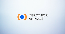 Mercy for Animals